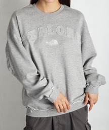 【韓国限定・日本未入荷】THE NORTH FACE EXPLORE SWEATSHIRTS / ノースフェイス エクスプロア スウェットシャツ アップリケ ロゴ刺繍 長袖トレーナー