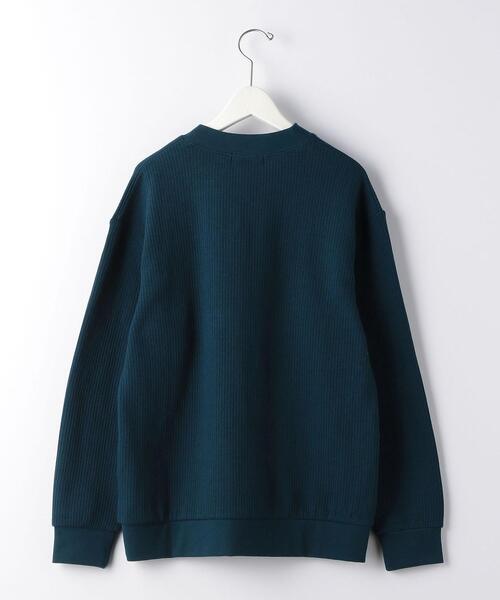 green label relaxing（グリーンレーベルリラクシング）の「CSM ラフネスリブ クルーネック 長袖 カットソー（Tシャツ/カットソー・メンズ・ワインレッド/ターコイズブルー/ライトグレー・LARGE/X-LARGE/MEDIUM/SMALL）」の11枚目の写真