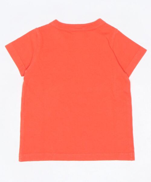 RUGGEDWORKS(ラゲッドワークス)の「《made in Japan》 昆虫プリント半袖TEE(Tシャツ/カットソー・キッズ・オレンジ/グリーン・90/100/110/120/130)」の9枚目の写真