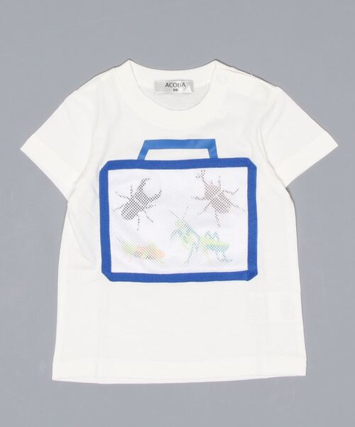 ACOBA（ACOBA）の「虫かご付きＴシャツ（Tシャツ/カットソー・キッズ・グリーン/ホワイト・90/95/100/110/130/80/120）」の9枚目の写真