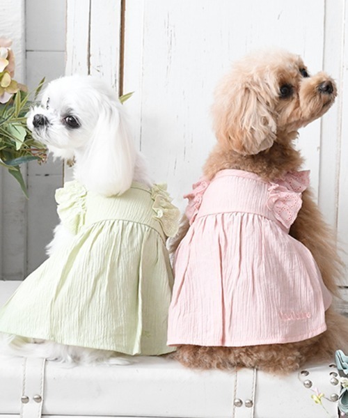 One Octave（ワンオクターヴ）の「One Octave/フリルショルダーワンピ（ペットウェア・レディース・グリーン/ピンク・M/L/2L/S/XS/2XS/2M）」の3枚目の写真