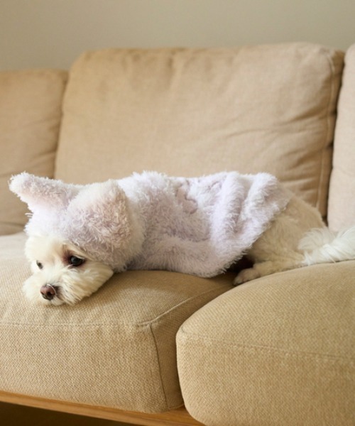 gelato pique(ジェラートピケ)の「【PIQUE MONSTER】【CAT&DOG】ケープ(ペットウェア・レディース・ミント/ラベンダー・SMALL/MEDIUM/LARGE)」の3枚目の写真