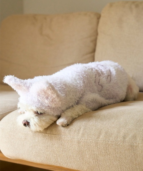gelato pique(ジェラートピケ)の「【PIQUE MONSTER】【CAT&DOG】ケープ(ペットウェア・レディース・ミント/ラベンダー・SMALL/MEDIUM/LARGE)」の4枚目の写真