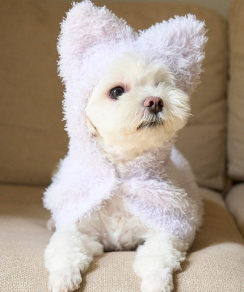 ジェラートピケ　犬服　猫耳　CATケープ サイズM gelato pique（ジェラートピケ）の「【PIQUE MONSTER】【CAT&DOG