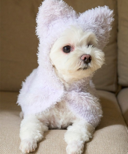 gelato pique(ジェラートピケ)の「【PIQUE MONSTER】【CAT&DOG】ケープ(ペットウェア・レディース・ミント/ラベンダー・SMALL/MEDIUM/LARGE)」の7枚目の写真