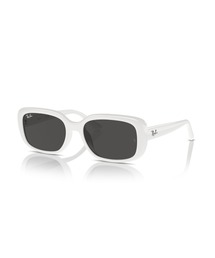 Ray-Ban レイバン サングラス0RB4421D (アジアンデザインモデル) Ray-Ban（レイバン）の「Ray-Ban レイバン サングラス Dmodels