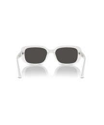 Ray-Ban（レイバン）の「Ray-Ban レイバン サングラス Dmodels