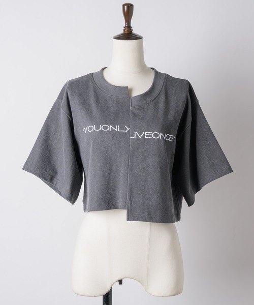 VIOLETTA(ヴィオレッタ)の「ピグメント加工風クロップドTシャツ(Tシャツ/カットソー・レディース・ホワイト/ライトブルー/グレー・FREE)」の16枚目の写真
