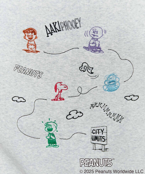 セール】別注 PEANUTS/ピーナッツ バック 全刺繍 スウェット