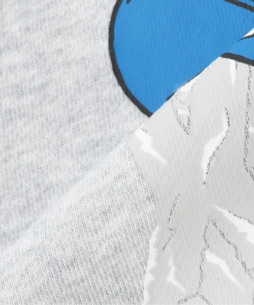 XLARGE KIDS（エクストララージキッズ）の「【人気商品再入荷】【直営店で取り扱い無し】スノーボードT-REXトレーナー（スウェット・キッズ・トップグレー/ブルー・110cm/120cm/130cm/140cm）」の8枚目の写真