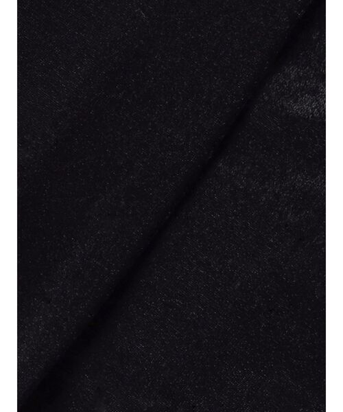 dazzlin（ダズリン）の「チョーカー付ドレープシアーベロアトップス（Tシャツ/カットソー・レディース・ブラック/アイボリー/ブラウン・FREE）」の8枚目の写真