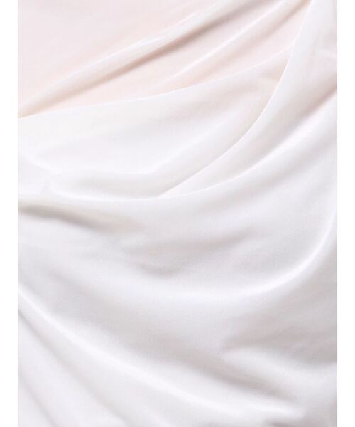 dazzlin（ダズリン）の「チョーカー付ドレープシアーベロアトップス（Tシャツ/カットソー・レディース・ブラック/アイボリー/ブラウン・FREE）」の11枚目の写真