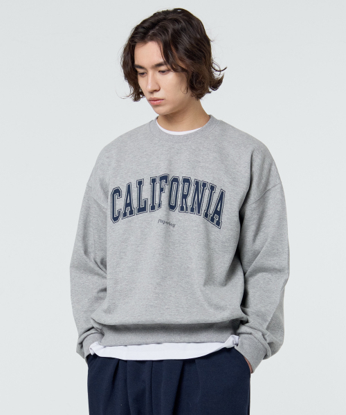 PAPERBOY(ペーパーボーイ)の「カリフォルニア スウェットシャツ-メランジ(スウェット・レディース・その他・MEDIUM/LARGE/X-LARGE/SMALL)」の4枚目の写真
