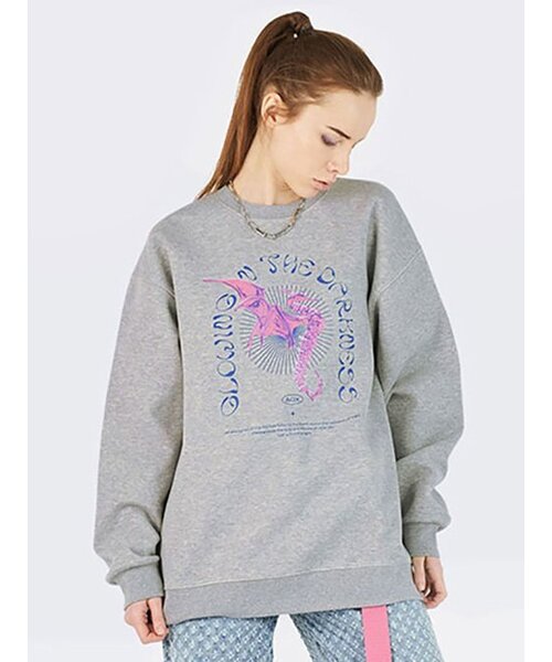 AOX(エーオーエックス)の「グロウイングシーホース スウェット グレー(スウェット・メンズ・グレー・L/M/S)」の1枚目の写真