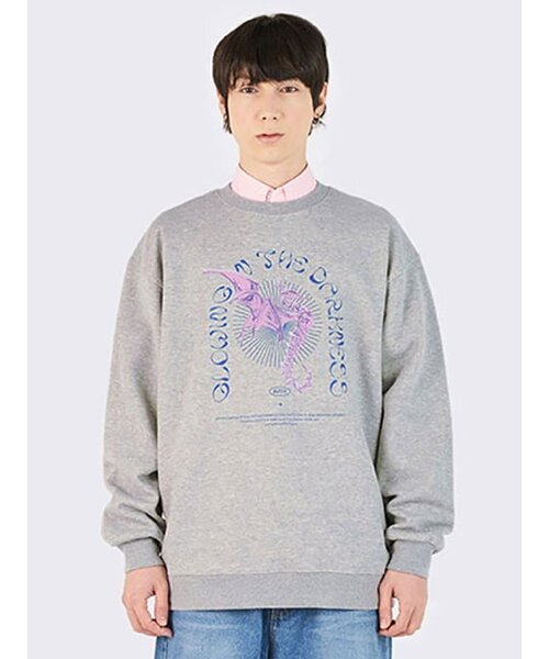 AOX(エーオーエックス)の「グロウイングシーホース スウェット グレー(スウェット・メンズ・グレー・L/M/S)」の2枚目の写真