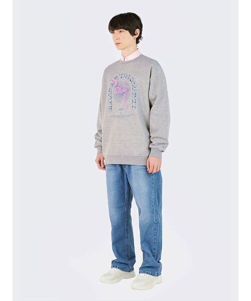 AOX(エーオーエックス)の「グロウイングシーホース スウェット グレー(スウェット・メンズ・グレー・L/M/S)」の3枚目の写真