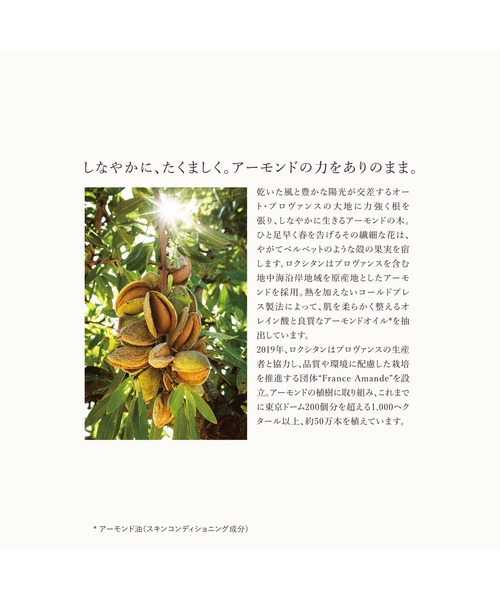 L'OCCITANE(ロクシタン)の「アマンドスブリーム シャワーオイル 250mL ボディソープ(石鹸/ボディソープ・レディース・その他・FREE)」の2枚目の写真