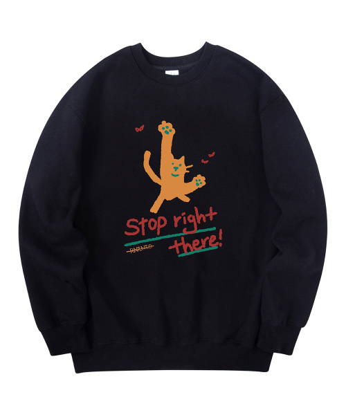 RADINEO(ラディネオ)の「ストップタンジェリン スウェット ブラック(スウェット・メンズ・その他・MEDIUM/LARGE/X-LARGE)」の1枚目の写真