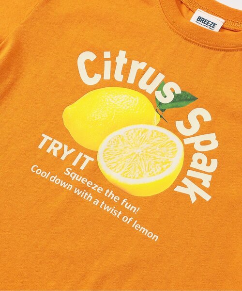 BREEZE(ブリーズ)の「BREEZEMART フルーツグラフィック半袖Tシャツ(Tシャツ/カットソー・キッズ・ブルー/チャコール/オレンジ・110/100/90/80/140/130/120)」の11枚目の写真