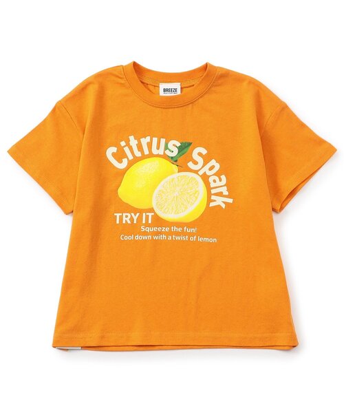 BREEZE(ブリーズ)の「BREEZEMART フルーツグラフィック半袖Tシャツ(Tシャツ/カットソー・キッズ・ブルー/チャコール/オレンジ・110/100/90/80/140/130/120)」の5枚目の写真