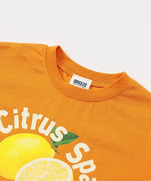 BREEZE(ブリーズ)の「BREEZEMART フルーツグラフィック半袖Tシャツ(Tシャツ/カットソー・キッズ・ブルー/チャコール/オレンジ・110/100/90/80/140/130/120)」の4枚目の写真