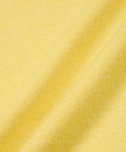 TNGT（ティーエヌジーティー）の「Cashmere Blended Essential Polo Knit Top (Lemon) TNSW6F110Y2（ニット/セーター・レディース・その他・100/110/85/95/105）」の3枚目の写真