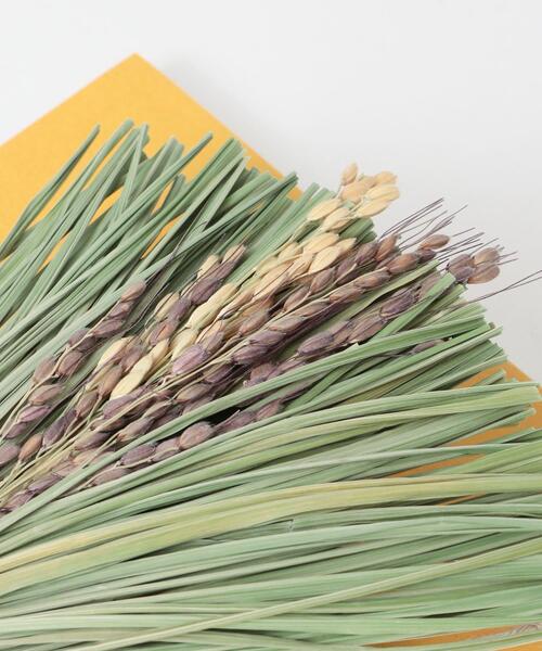 URBAN RESEARCH DOORS（アーバンリサーチドアーズ）の「TIER　稲わら飾り 福よせかぶ（インテリア雑貨・レディース・その他1・-）」の4枚目の写真