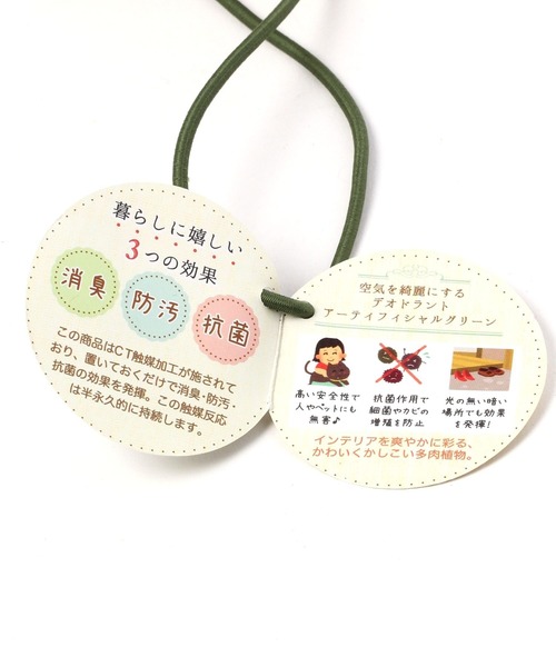 LEPSIM(レプシィム)の「【消臭効果付き】フェイクグリーンL 188670(インテリア雑貨・レディース・その他・ONE SIZE)」の7枚目の写真