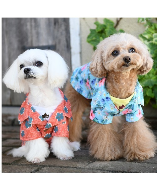 ETRO▼ペイズリー＆フラワー ペガソ ロゴ コットン Tシャツ 22145102_52078937_1000.jpg