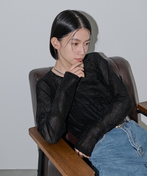 Shelly island（シェリーアイランド）の「シアーベロアクルーネックプルオーバー（Tシャツ/カットソー・レディース・ブラック/ブラウン/ホワイト/グレー・FREE）」の7枚目の写真