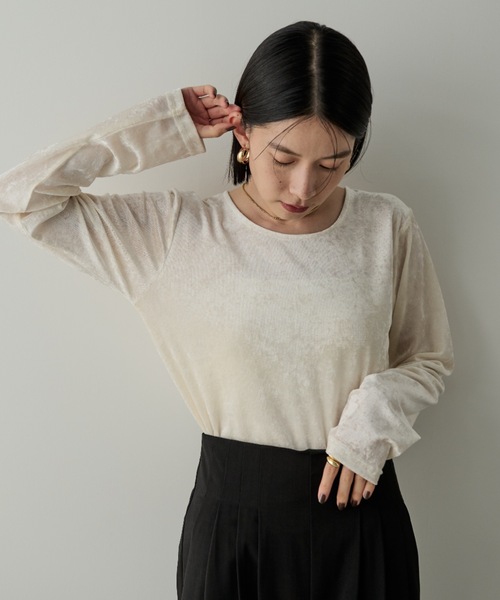 Shelly island（シェリーアイランド）の「シアーベロアクルーネックプルオーバー（Tシャツ/カットソー・レディース・ブラック/ブラウン/ホワイト/グレー・FREE）」の9枚目の写真