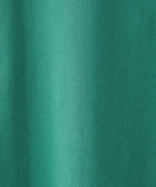 WILD THINGS（ワイルドシングス）の「【別注】＜WILD THINGS＞ショートスリーブ Tシャツ / キッズ 140cm-160cm（Tシャツ/カットソー・キッズ・ターコイズブルー/グレー/コバルトブルー・L(160cm)/M(140-150cm)）」の8枚目の写真