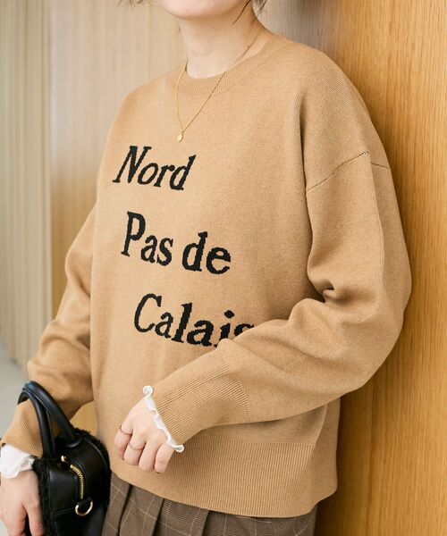 le.coeur blanc(ルクールブラン)の「AL ダブルジャガードロゴニット(ニット/セーター・レディース・ネイビー/グレー/キャメル・38)」の5枚目の写真