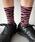 WEGO�i�E�B�S�[�j�́uWEGO/�[�u�������u�\�b�N�X�i�\�b�N�X/�C���j�v�b�s���N