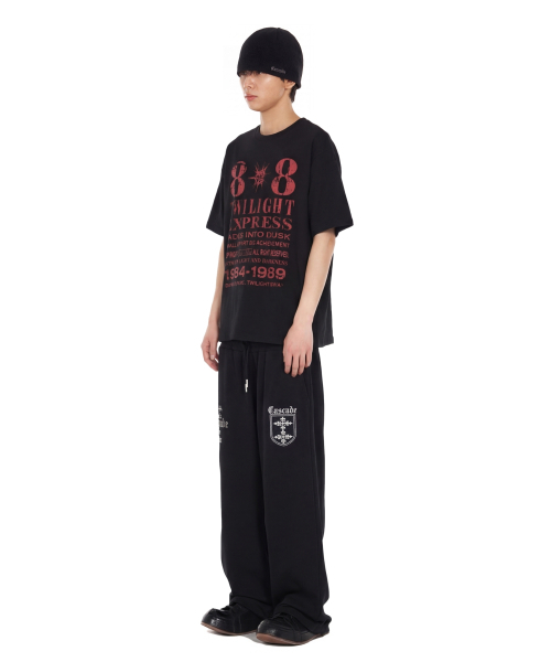 IDWS(アイドンワナセル)の「Novichi T-Shirt Black(Tシャツ/カットソー・レディース・その他・0/1/2/OS)」の14枚目の写真