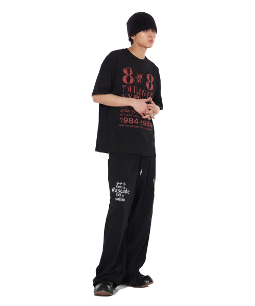 IDWS(アイドンワナセル)の「Novichi T-Shirt Black(Tシャツ/カットソー・レディース・その他・0/1/2/OS)」の22枚目の写真
