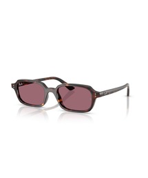 Ray-Ban レイバン サングラス Dmodels 0RB3727D (アジアンデザイン
