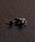 Pledge�i�v���b�W�j�́u�yPledge�zK10 PRECIOSA Cubic Zirconia(2set)�i�s�A�X�i�����p�j�j�v�b�u���b�N
