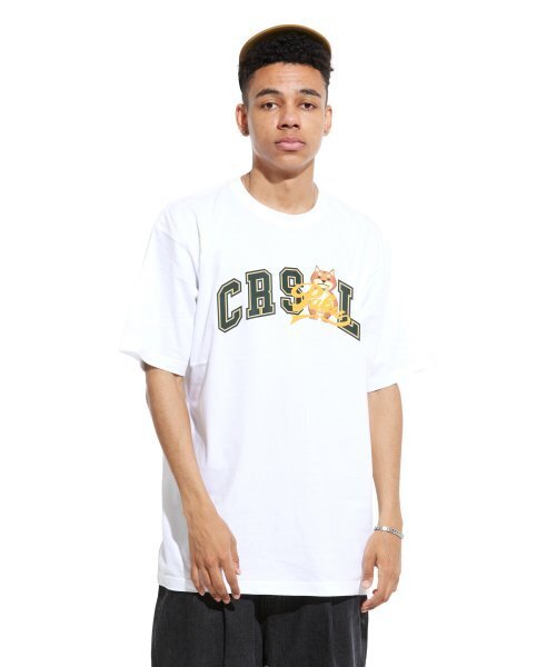 CREAM SODA LAB(クリームソーダラボ)の「マルチアーク半袖Tシャツホワイトグリーン(Tシャツ/カットソー・メンズ・その他・MEDIUM/X-LARGE/XX-LARGE/LARGE)」の3枚目の写真