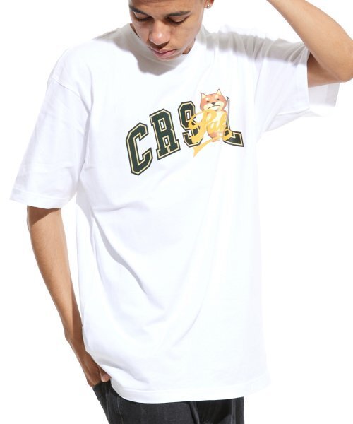 CREAM SODA LAB(クリームソーダラボ)の「マルチアーク半袖Tシャツホワイトグリーン(Tシャツ/カットソー・メンズ・その他・MEDIUM/X-LARGE/XX-LARGE/LARGE)」の13枚目の写真