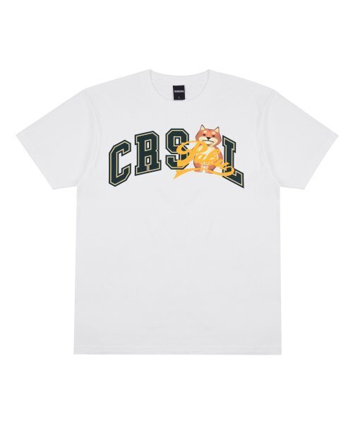 CREAM SODA LAB(クリームソーダラボ)の「マルチアーク半袖Tシャツホワイトグリーン(Tシャツ/カットソー・メンズ・その他・MEDIUM/X-LARGE/XX-LARGE/LARGE)」の14枚目の写真