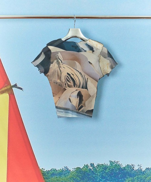 kotohayokozawa（コトハヨコザワ）の「【kotohayokozawa/コトハヨコザワ】SHEER GRAPHIC TINY TOP/シアーグラフィックトップ/ウォッシャブル（Tシャツ/カットソー・レディース・ベージュ/ピンク・FREE）」の14枚目の写真