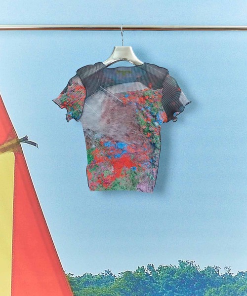 kotohayokozawa/コトハヨコザワ】SHEER GRAPHIC TINY TOP/シアー