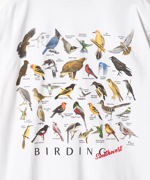 BEAUTY&YOUTH UNITED ARROWS(ビューティーアンドユースユナイテッドアローズ)の「【別注】<ATLAS SCREEN PRINTING>BIRDING プリント Tシャツ(Tシャツ/カットソー・メンズ・ホワイト・M/L)」の5枚目の写真