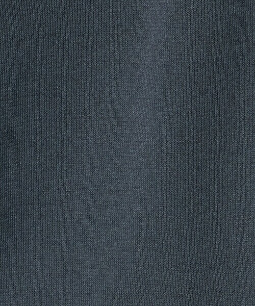 A DAY IN THE LIFE UNITED ARROWS(アデイインザライフユナイテッドアローズ)の「サテンコンビ 2WAY カーディガン 5分袖 <A DAY IN THE LIFE>(カーディガン/ボレロ・レディース・ライトブルー/ダークグレー/ブラック・FREE)」の9枚目の写真