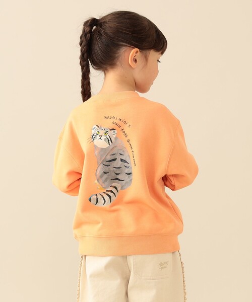 BEAMS mini(ビームスミニ)の「【COLLABORATION】那須どうぶつ王国・神戸どうぶつ王国 / アニマル HIP スウェット 2026FW(90~140cm)(スウェット・キッズ・ホワイト系その他5/ネイビー/オレンジ系その他3・120/90/110/100/140/130)」の8枚目の写真