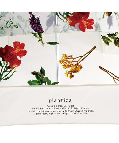 Wpc.(ダブリュピーシー)の「plantica×Wpc. フラワーアンブレラプラスティック(ビニール傘)(長傘・レディース・レッド/オフホワイト/ブラウン/グリーン・FREE)」の12枚目の写真