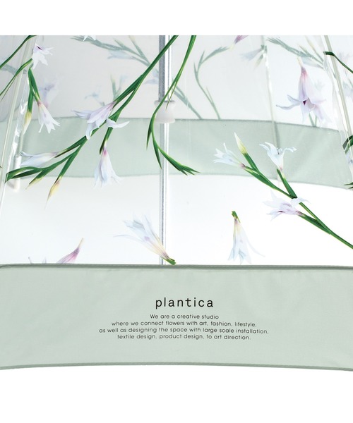 Wpc.(ダブリュピーシー)の「plantica×Wpc. フラワーアンブレラプラスティック(ビニール傘)(長傘・レディース・レッド/オフホワイト/ブラウン/グリーン・FREE)」の11枚目の写真