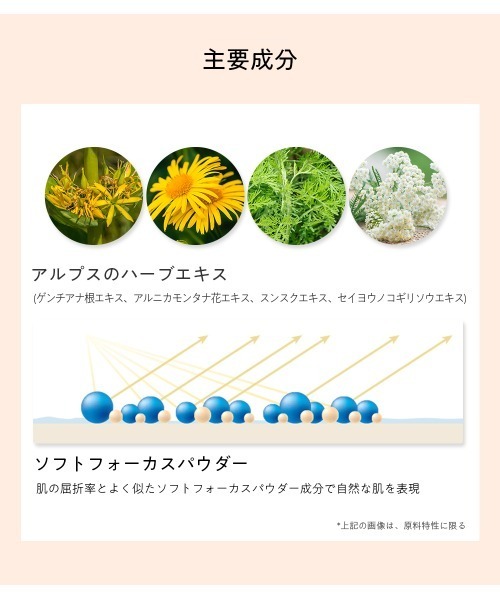 theSAEM/ザセム】ザセム カバーパーフェクション コンシーラー