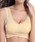 Lace Ladiesi[XfB[Xj́utgNXTChzbNuiiCgujvbx[W